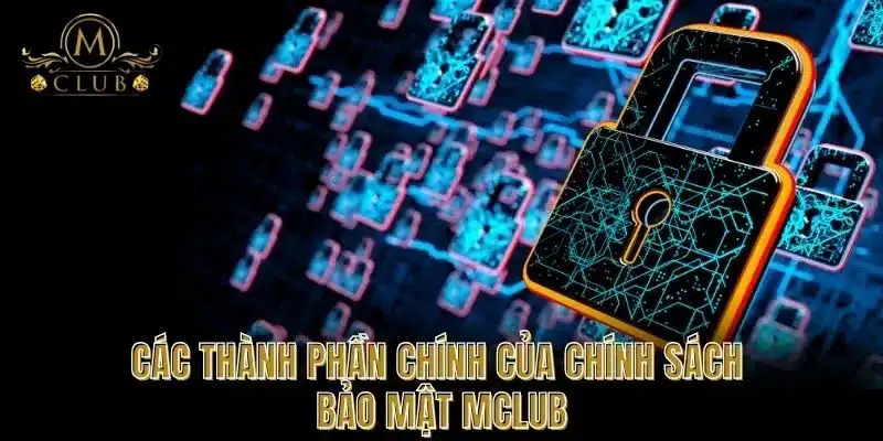 Các thành phần chính của chính sách bảo mật MCLUB