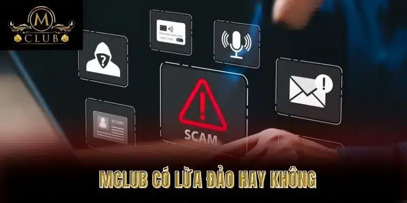 MClub Có Lừa Đảo Hay Không